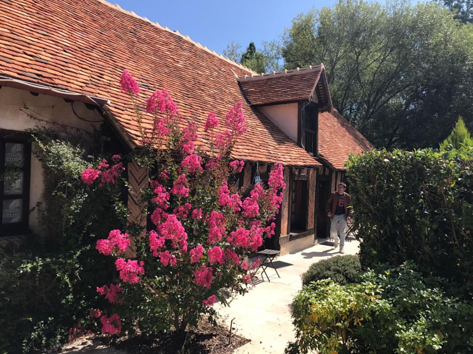 Domaine De Grand-Pas Villa Vernou-en-Sologne Exterior photo